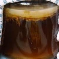 propiedades útiles de los hongos del té y las contraindicaciones